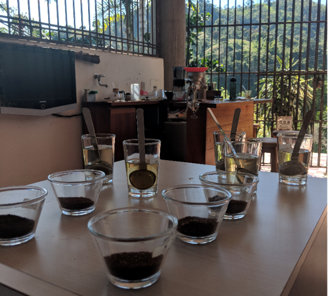 Coffee Cupping in Colombia